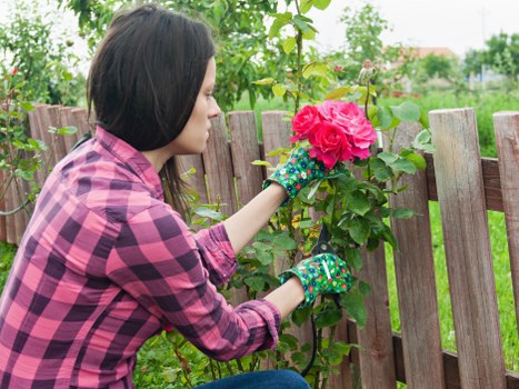 Gardener performing seasonal maintenance tasks in a Herne Hill garden