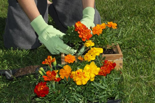 Herne Hill garden maintenance services