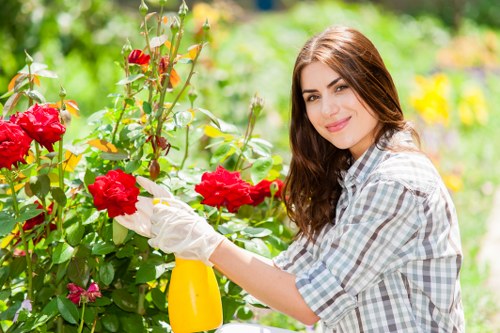 Professional gardener pruning and trimming plants in a Herne Hill garden
