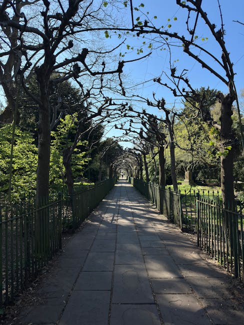 A straight, paved pathway in a garden setting, bordered by black metal railings on both sides, leads through a trellised archway formed by leafless, pruned trees with twisted branches. The pathway is